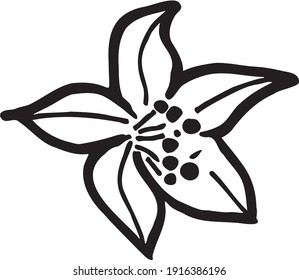 Contoured Five-petalled Flower With Stamens Logo