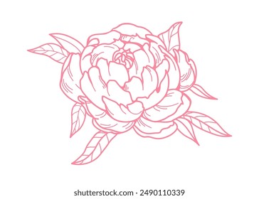 Contoured flower blossom. Vintage etched floral bud with leaf. Retro detailed drawing, Japanese peony bloom, design element. Outlined hand-drawn vector illustration isolated on white background