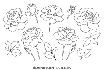 Contoured simple rose flowers, buds and leaves isolated on white background. Floral set template for laser cutting, tattoo design, stamping, coloring page.  Monochrome vector illustration.