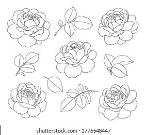 Flores de rosa simples y con contorno aisladas en fondo blanco. Plantilla de juego floral para corte láser, diseño de tatuajes, estampado, página de coloreado.  Ilustración vectorial monocroma.