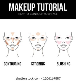 Makeup Contour Chart