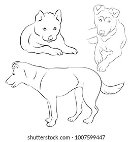 The contours of the dog and puppy on white background, vector
