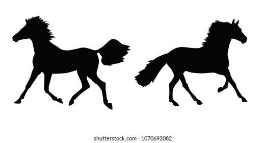 Contours of horses. The horses jump their hair. Vector illustration.