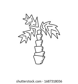 Contours of palm trees, Hand-drawn coloring book . Anti-stress coloring pages for children. Vector illustration