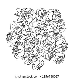 contours of peonies on a white background