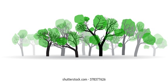 contours of the spring woods with a small amount of green leaves