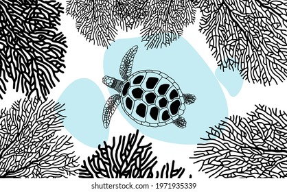 The contours of turtles and corals are black on blue spots of sea water. Vector illustration isolated on a white background. World Turtle Day. May 23.