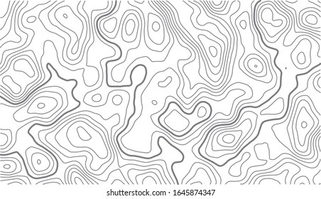 Contours vector topography. Geographic topography vector illustration. . Map on land vector terrain. Elevation graphic contour height lines. Topographic map