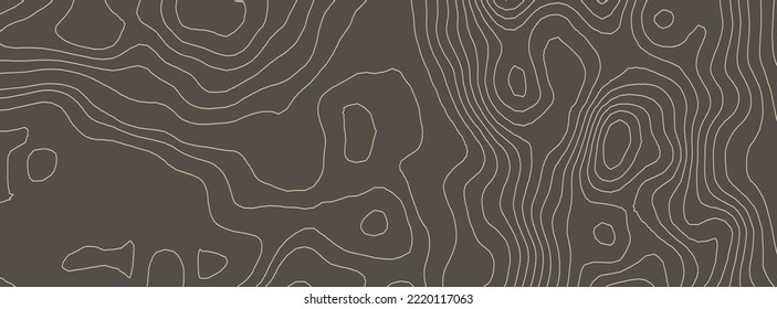 Contours Vector Topography. Geographic Mountain Topography Vector Illustration. Topographic Pattern Texture. Elevation Graphic Contour Height Lines.