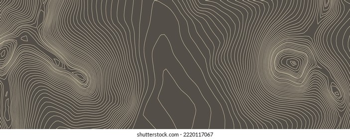 Contours Vector Topography. Geographic Mountain Topography Vector Illustration. Topographic Pattern Texture. Elevation Graphic Contour Height Lines.