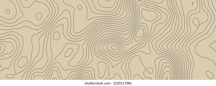 Contours Vector Topography. Geographic Mountain Topography Vector Illustration. Topographic Pattern Texture. Elevation Graphic Contour Height Lines.