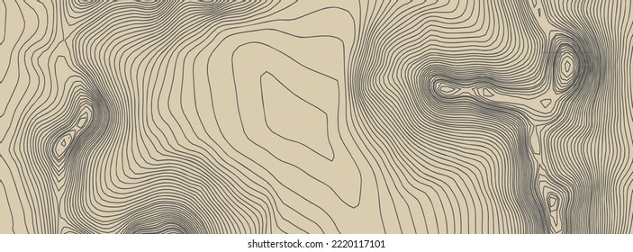 Contours Vector Topography. Geographic Mountain Topography Vector Illustration. Topographic Pattern Texture. Elevation Graphic Contour Height Lines.