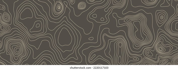 Contours Vector Topography. Geographic Mountain Topography Vector Illustration. Topographic Pattern Texture. Elevation Graphic Contour Height Lines.