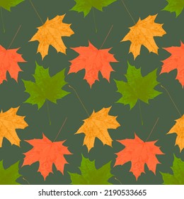 Contraste otoño caída de hojas de arce patrón sin fisuras en el fondo oscuro, lindo fondo natural para la decoración y el diseño