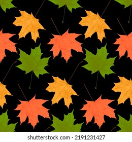 Contrast autumn leaf fall of maple leaves seamless pattern on dark background, cute natural background for decoration and design