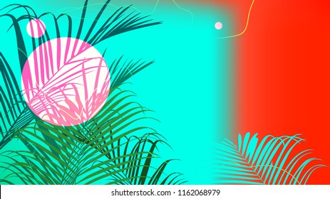 Contrast design tropical palm tree, template bakground