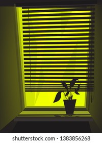 contrast image of a night window with a flower pot