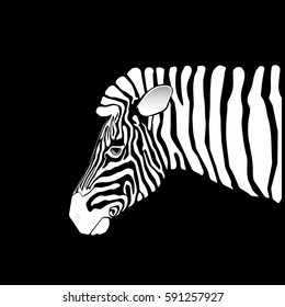 Contrast, negative  zebra.