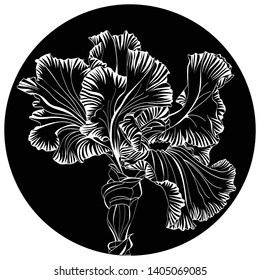 contrast round print featuring a large iris flower with white lines on a black background