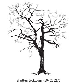 Contrast silhouette of a tree trunk without leaves on a white background