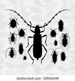 Contrast vector set with silhouette of bugs. Drawing of beetles. Insect on the background with gray leaves. Cartoon bug illustration.