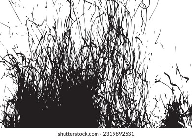 Contrasting Flames: The Monochrome Blaze