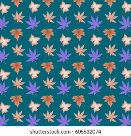 Contrasting leaves on the background