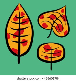 contrasting set of leaves in spots