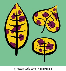contrasting set of leaves in spots