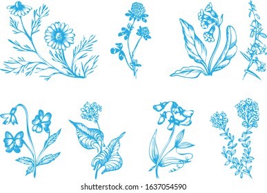 Conture hand drawn vector illustration of herbs and flowers.