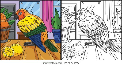 Conure Bird Coloring Page Colored Illustration