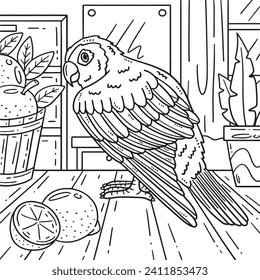 Conure Bird Coloring Page for Kids