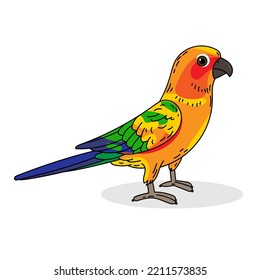 Conure color vector illustration isolated on white background