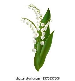 622 Lilly of the valley Stock Vectors, Images & Vector Art | Shutterstock