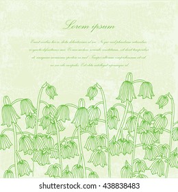 Convallaria majalis or lily of the valley or lily-of-the-valley template