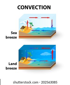 Convection. In the day air above the land is warmer than the air above the ocean. The warm air above the land rises up to form clouds. In the night, the cool air above the land rushes towards to ocean svg