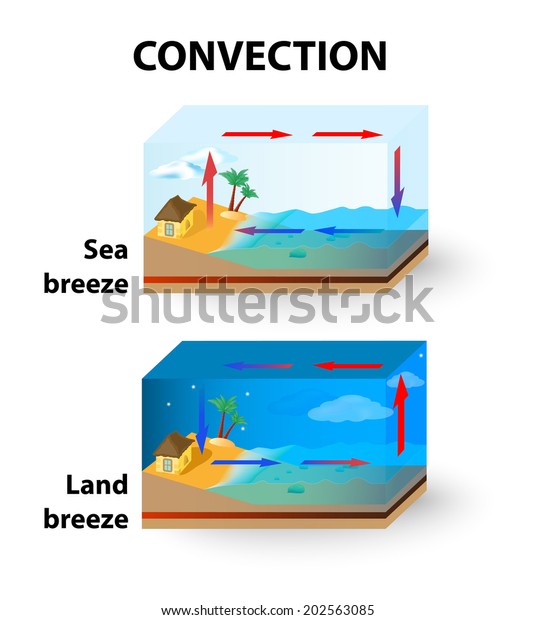 Convection. In the day air above the land is warmer\
than the air above the ocean. The warm air above the land rises up\
to form clouds. In the night, the cool air above the land rushes\
towards to ocean