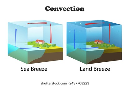 Diagrama de convección. Brisa marina y terrestre. Ilustración 3d del vector de la educación científica