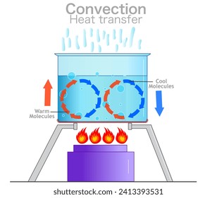 Convection, heat transfer currents, labeled diagram. Mass movement of water. Warm, cool molecules energy movement. Cycle stove fire, hot water liquid in transparent pot. Vector illustration 