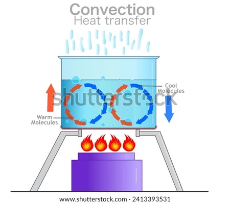 Convection, heat transfer currents, labeled diagram. Mass movement of water. Warm, cool molecules energy movement. Cycle stove fire, hot water liquid in transparent pot. Vector illustration 