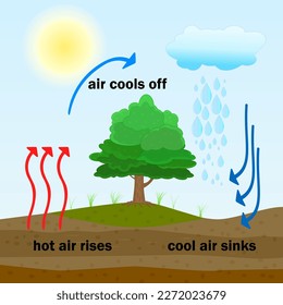Convection process diagram. Warm air rises and cool air sinks. Hot and cooler air masses.Cloud formation process.Thermal warm and cold air circulation diagram.Science poster design.Vector illustration svg