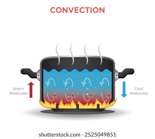 Convection is the transfer of heat through fluid (liquid or gas) movement, where warmer fluid rises and cooler fluid sinks, creating a circulation pattern.