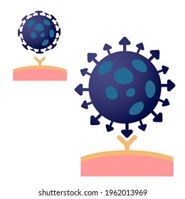 Conventional coronavirus and highly infectious coronavirus