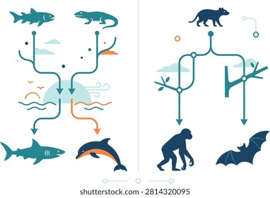 Convergent evolution diagram comparing aquatic and land animal traits with evolution convergence genetics adaptation comparison infographic ancestor selection development environmental