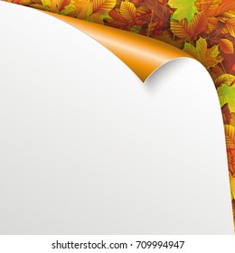 Convert paper cover with with autumn foliage. Eps 10 vector file.