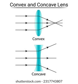 Lente Convex y Concave. Refracción de la luz. Ciencias de la educación física. Ilustración vectorial.