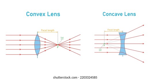 convex and concave lens schematic diagram in optics physics.