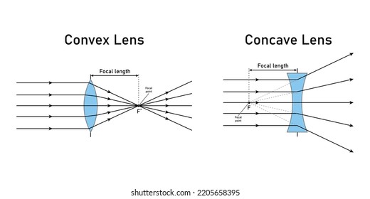 Convex Concave Lens Schematic Diagram Optics Stock Vector (Royalty Free ...