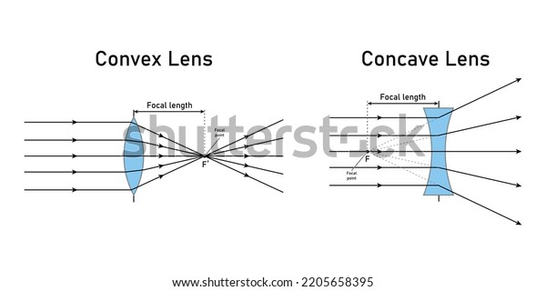 Convex Concave Lens Schematic Diagram Optics Stock Vector (Royalty Free ...