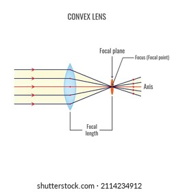 Convex and concave lens vector illustration diagrams. Labeled scheme with light ray direction and bending through lens.Physics illustration of Converging and Diverging Lens.